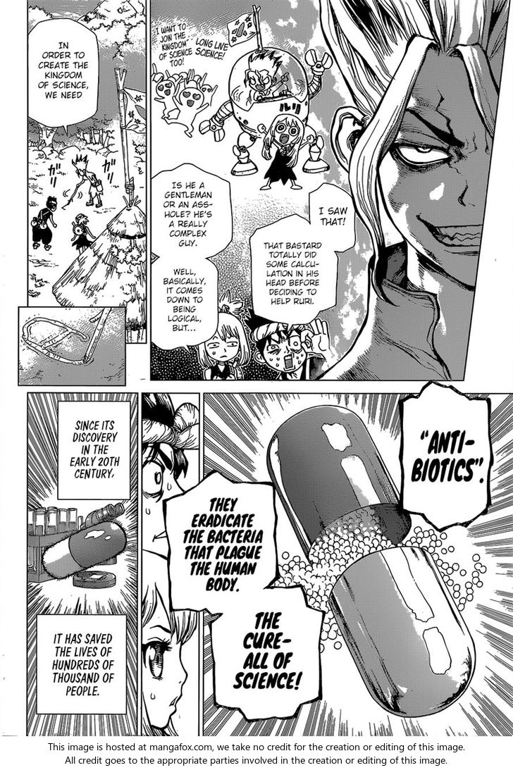 Read Dr. Stone Manga Online