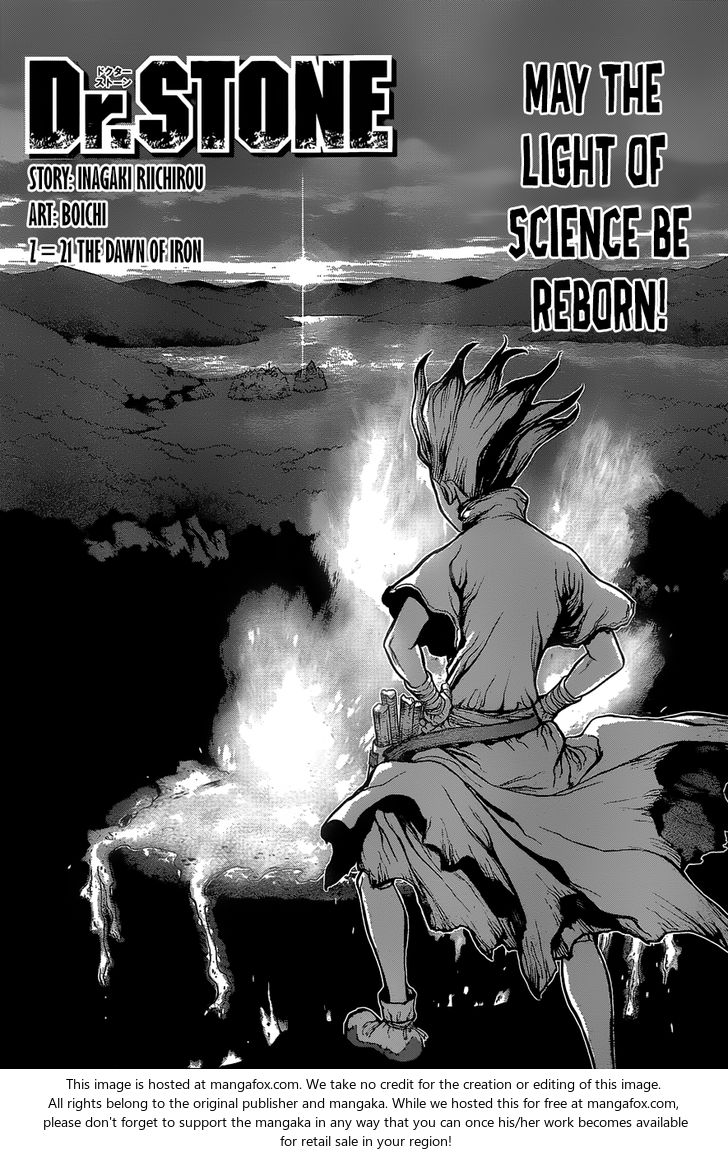 Read Dr. Stone Manga Online