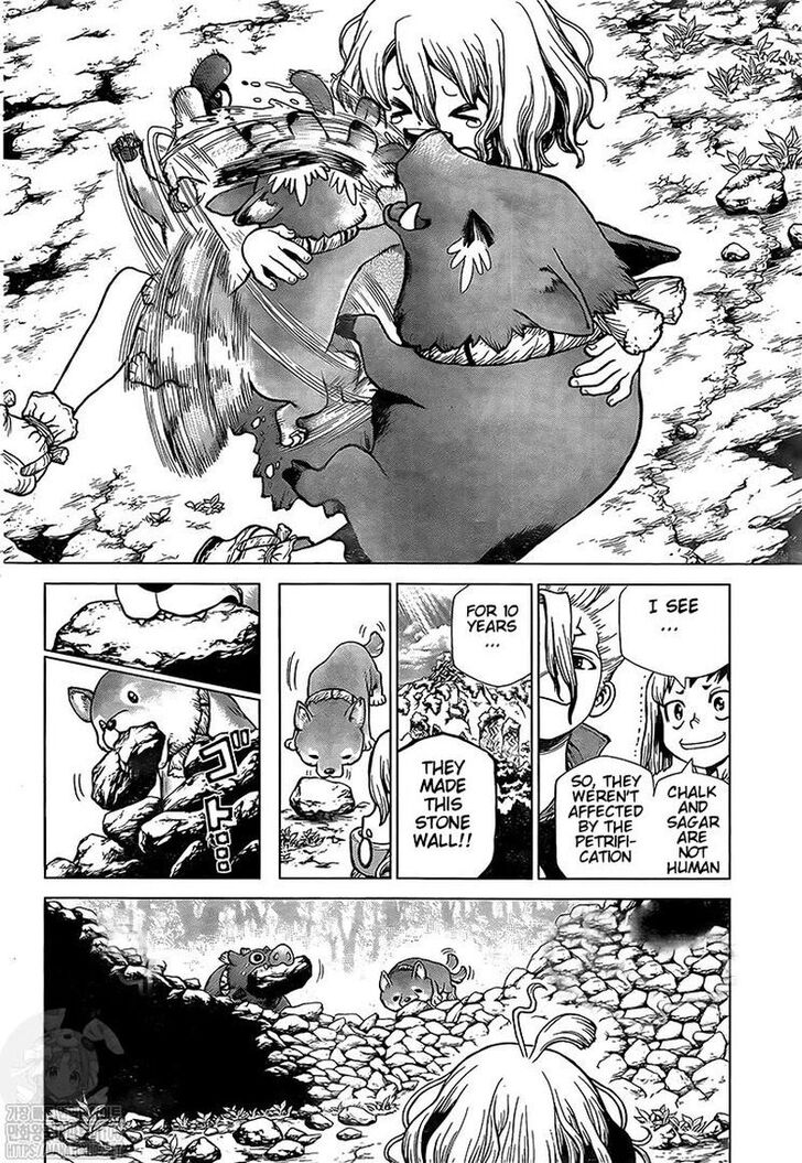 Read Dr. Stone Manga Online