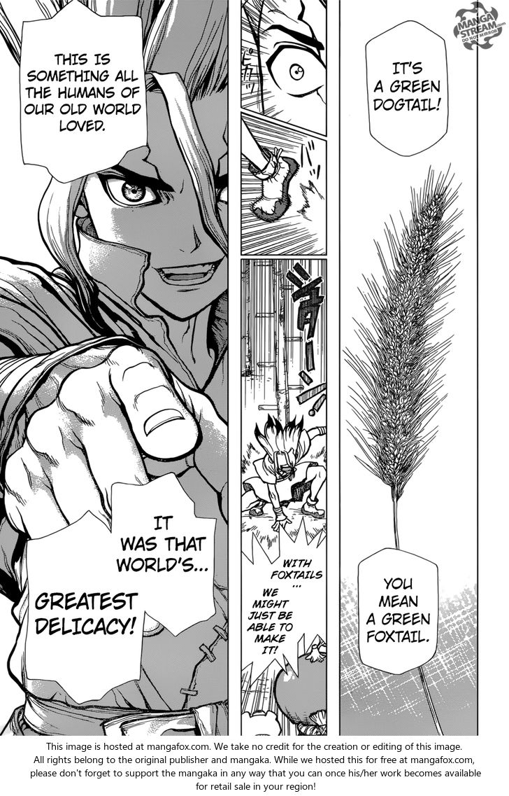 Read Dr. Stone Manga Online