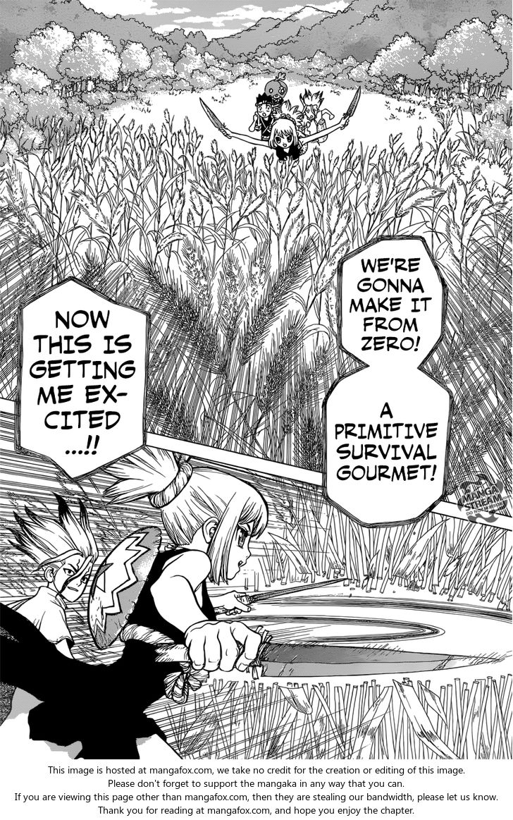 Read Dr. Stone Manga Online