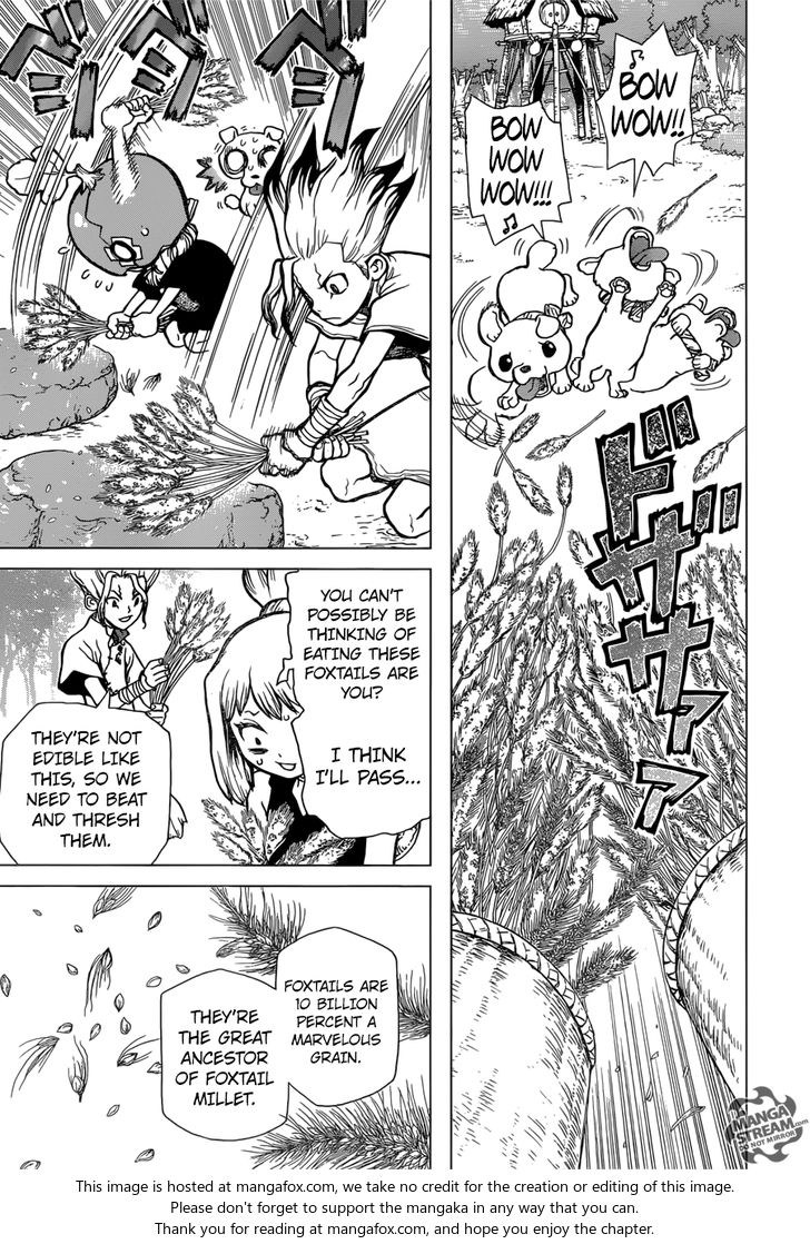 Read Dr. Stone Manga Online