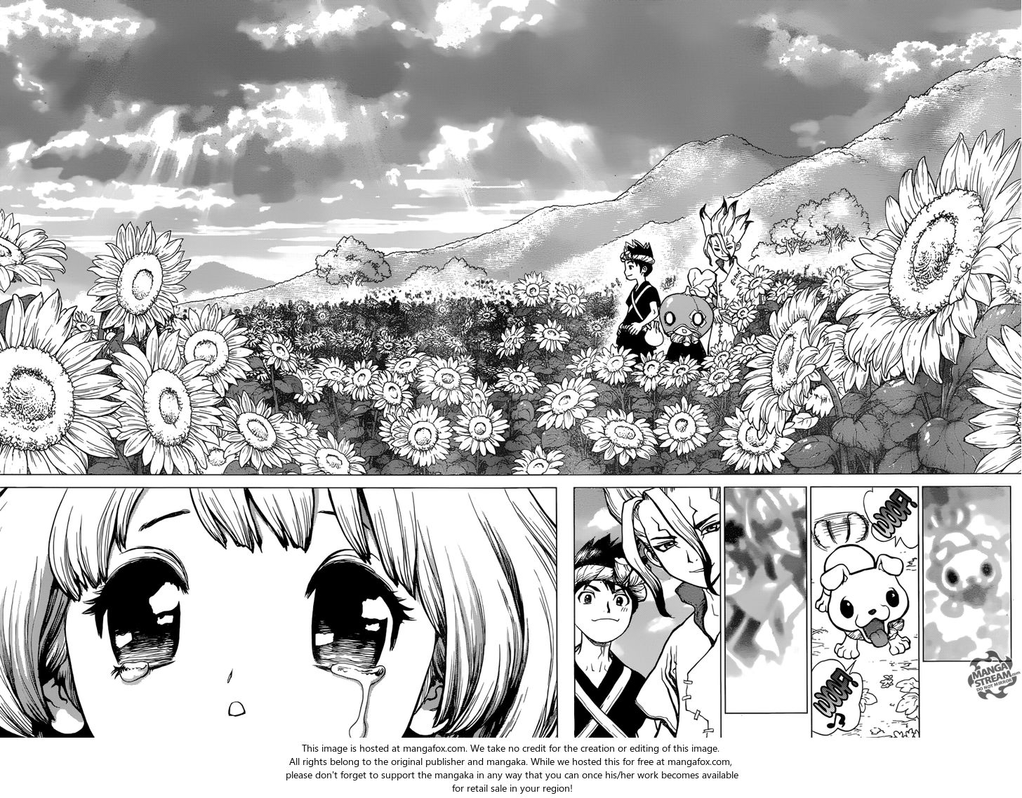 Read Dr. Stone Manga Online