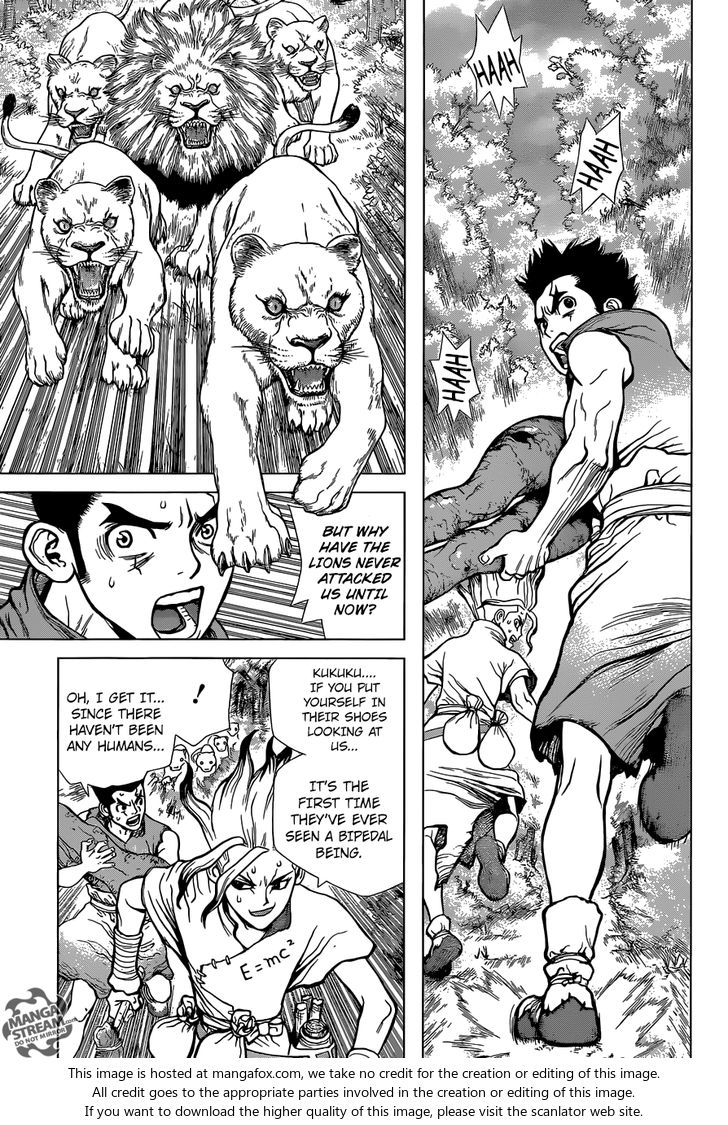 Read Dr. Stone Manga Online