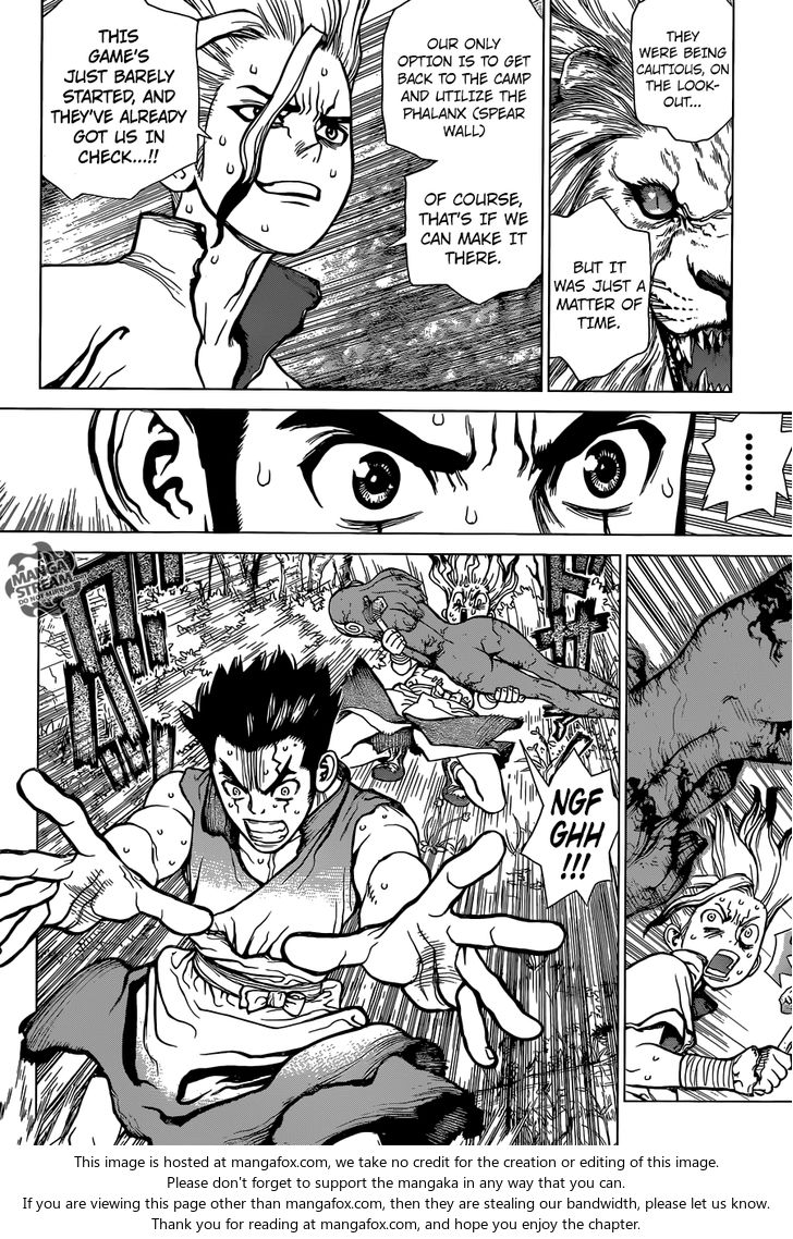 Read Dr. Stone Manga Online