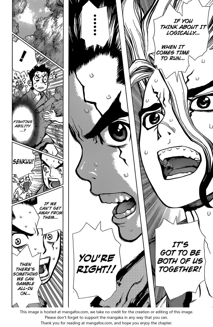 Read Dr. Stone Manga Online