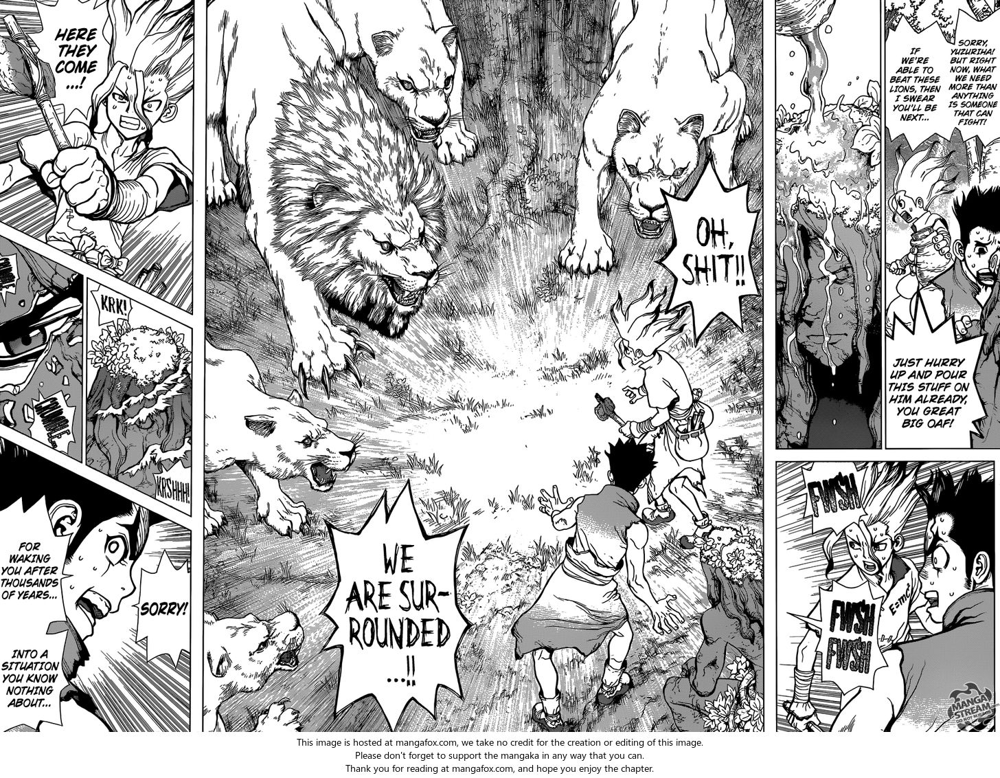 Read Dr. Stone Manga Online