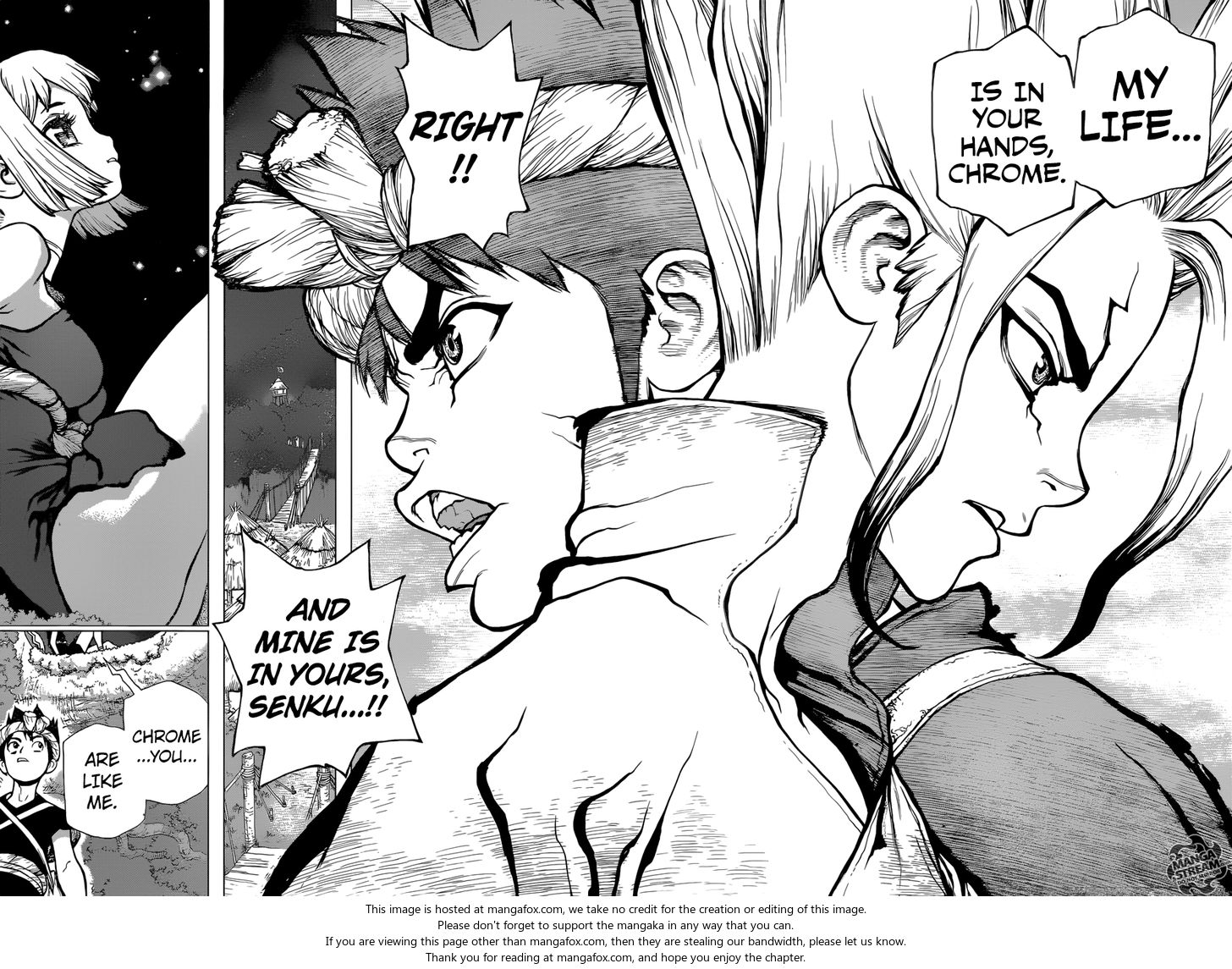 Read Dr. Stone Manga Online