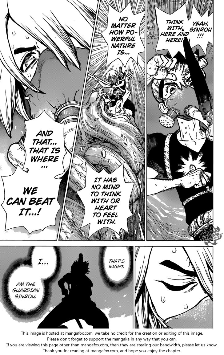 Read Dr. Stone Manga Online