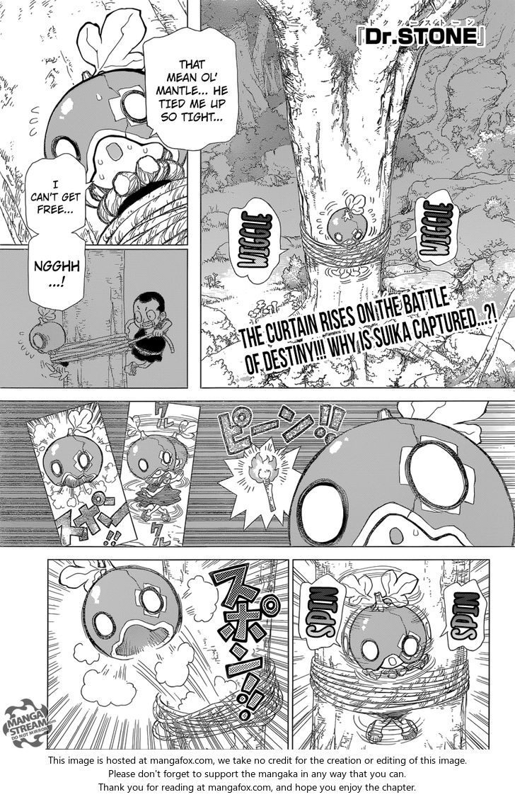 Read Dr. Stone Manga Online