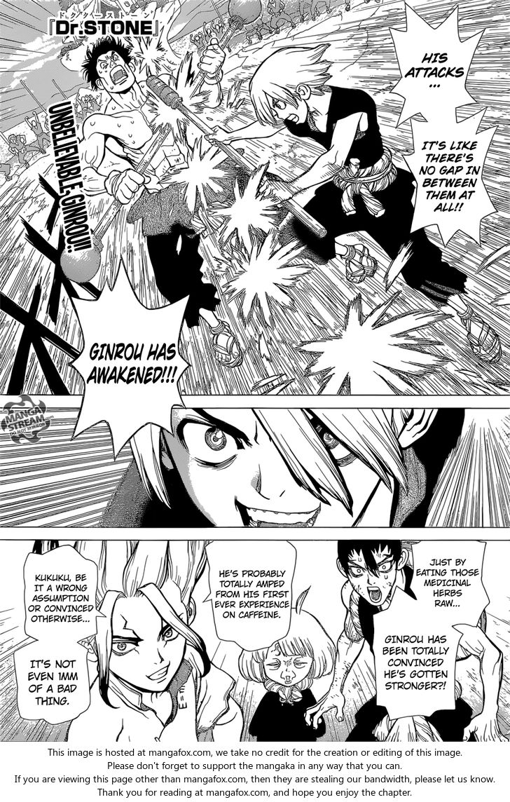Read Dr. Stone Manga Online