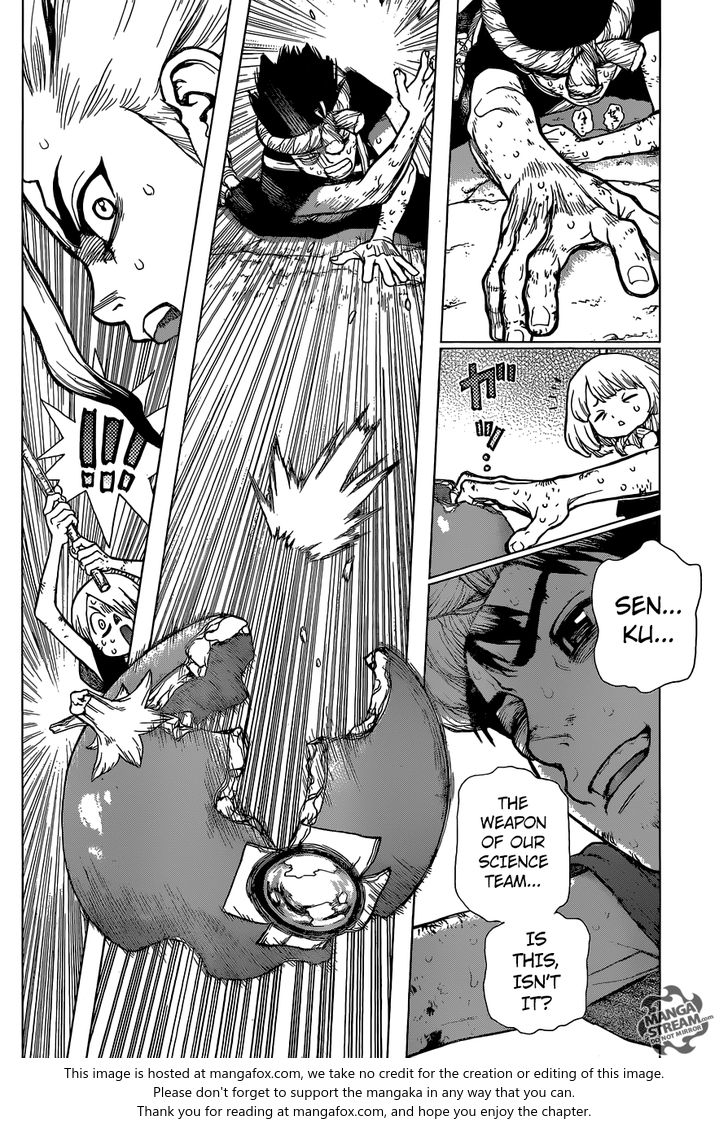 Read Dr. Stone Manga Online