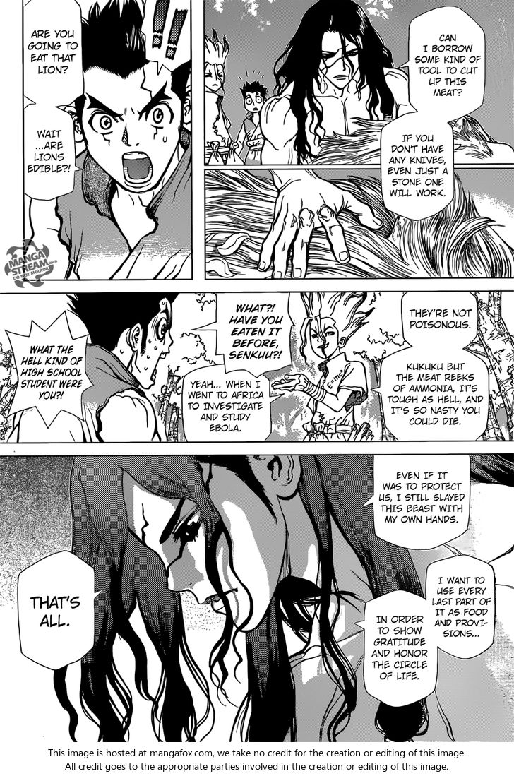 Read Dr. Stone Manga Online