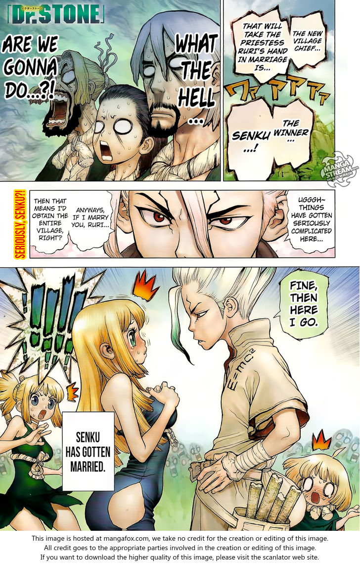 Read Dr. Stone Manga Online