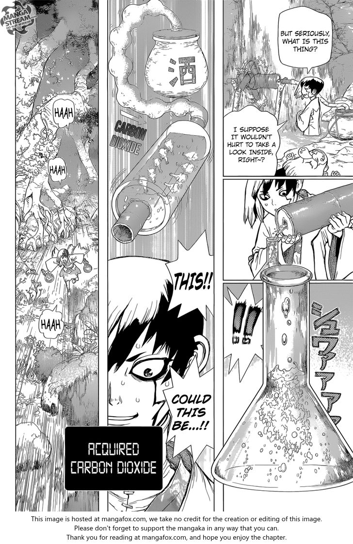 Read Dr. Stone Manga Online