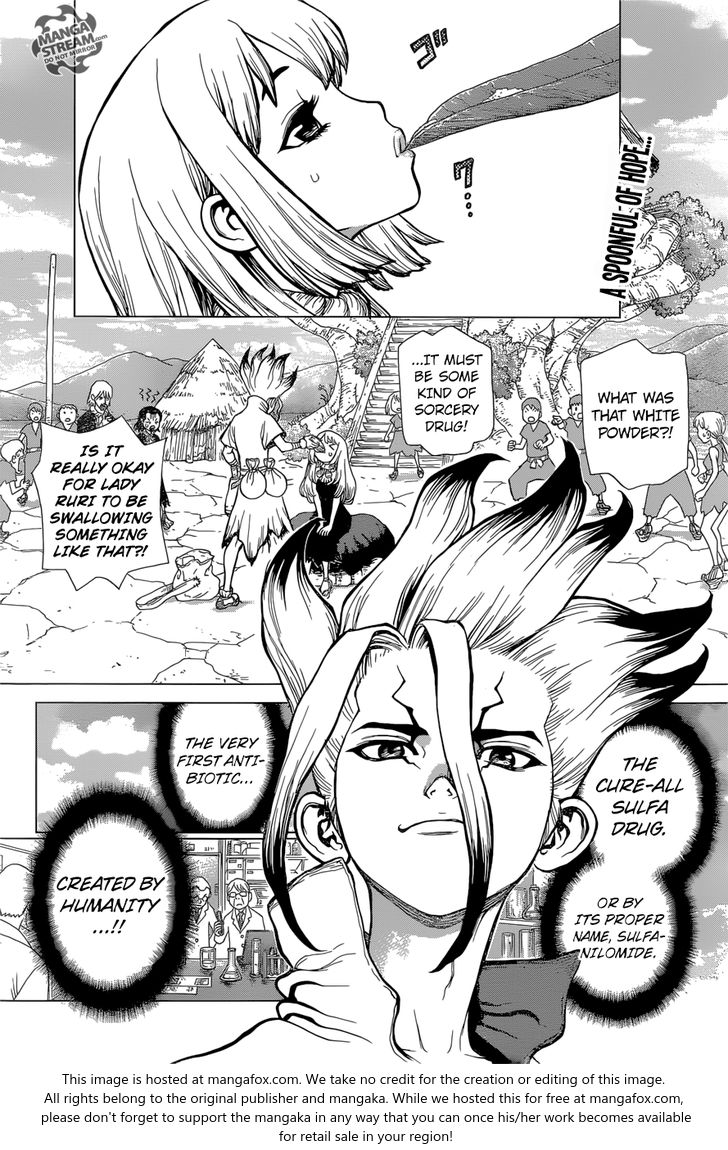 Read Dr. Stone Manga Online