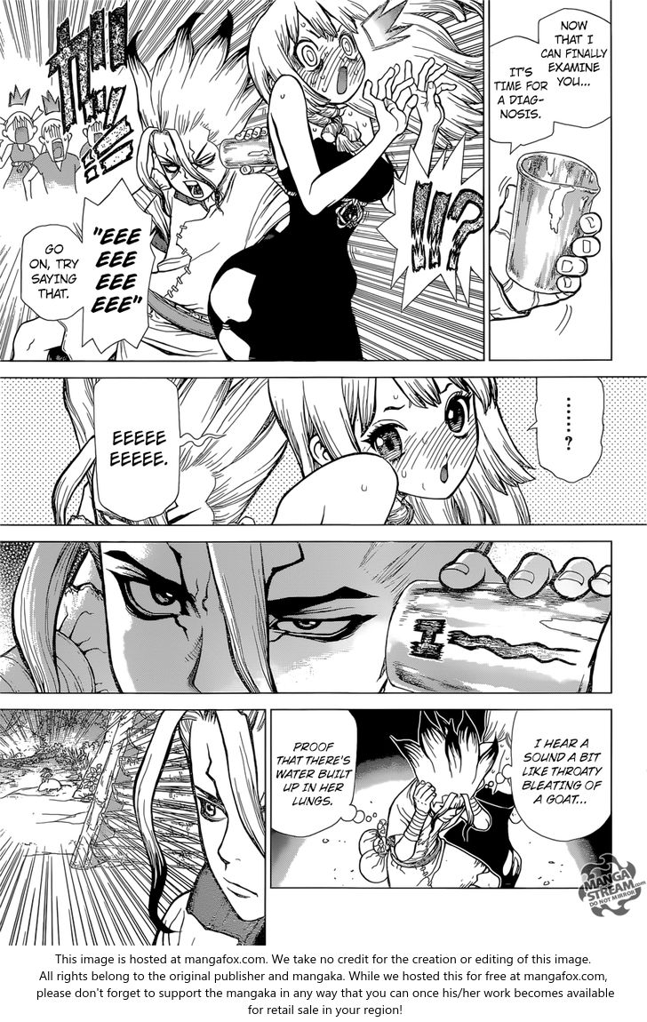 Read Dr. Stone Manga Online