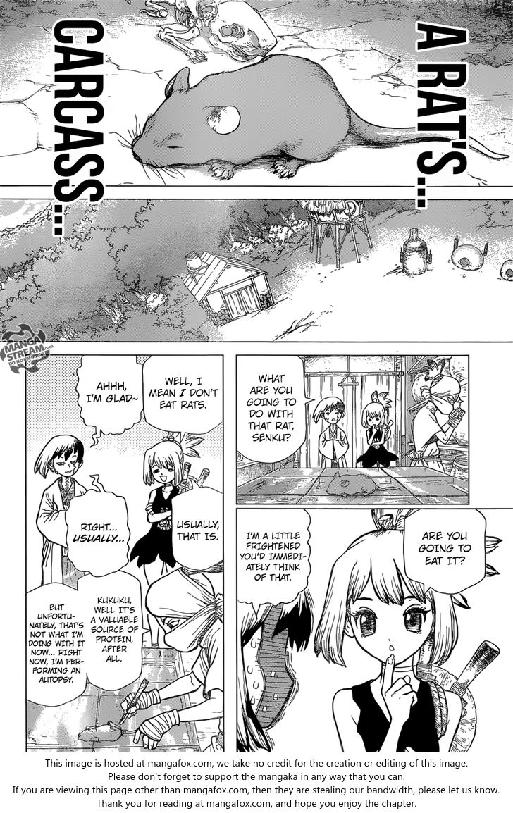 Read Dr. Stone Manga Online