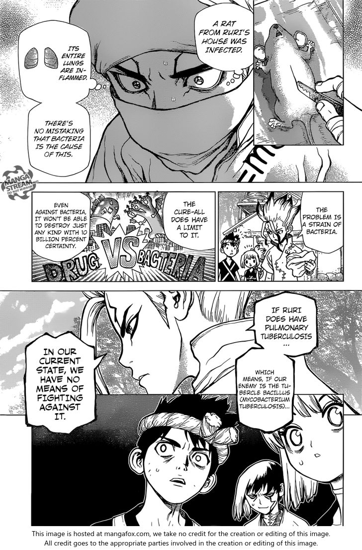 Read Dr. Stone Manga Online