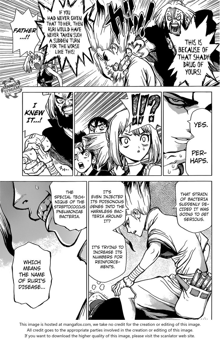 Read Dr. Stone Manga Online