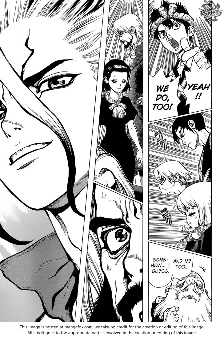 Read Dr. Stone Manga Online