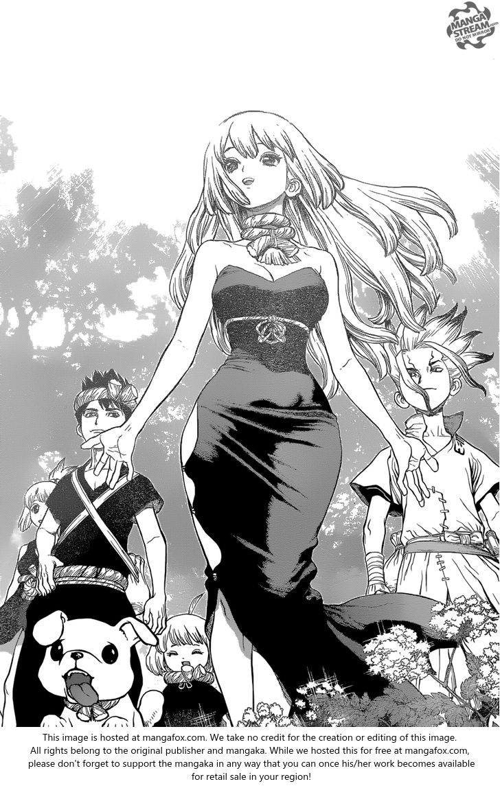Read Dr. Stone Manga Online