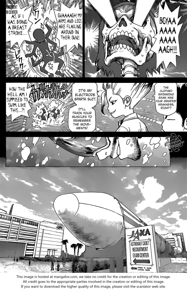 Read Dr. Stone Manga Online