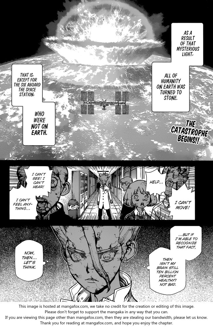 Read Dr. Stone Manga Online
