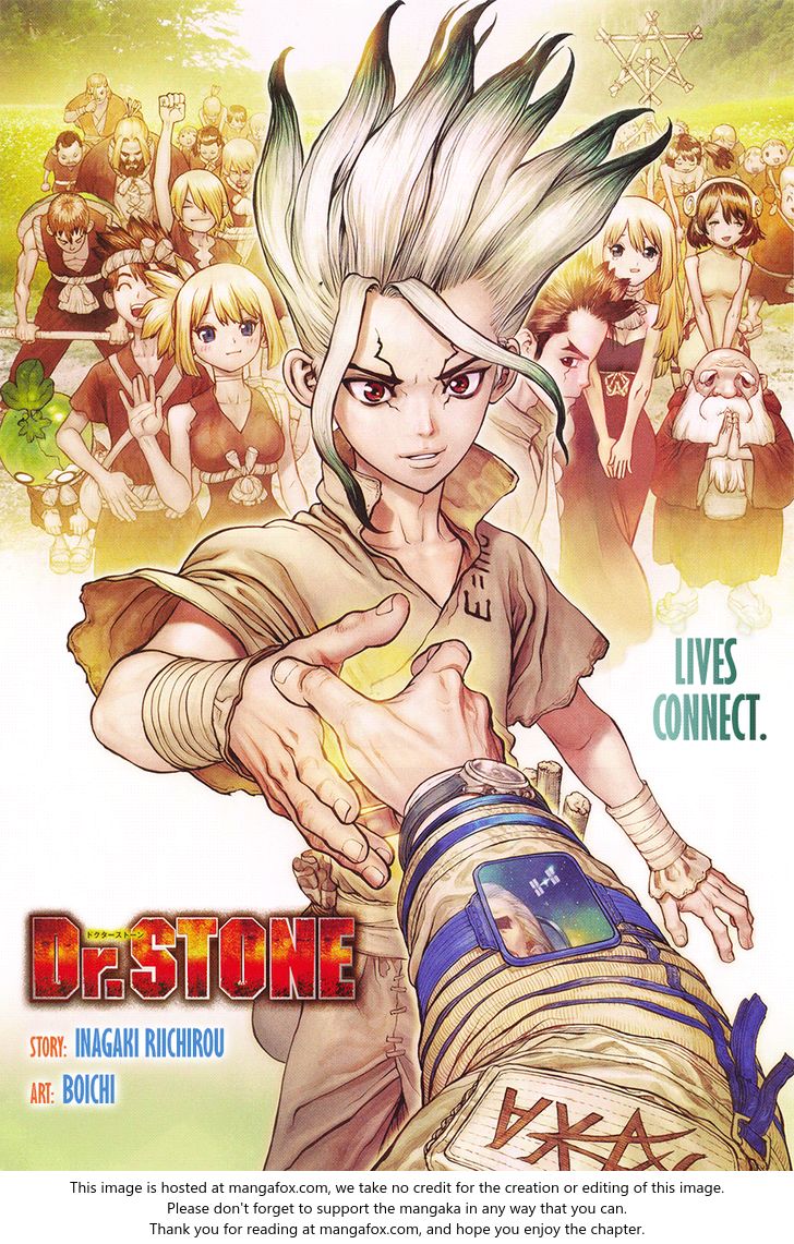 Read Dr. Stone Manga Online