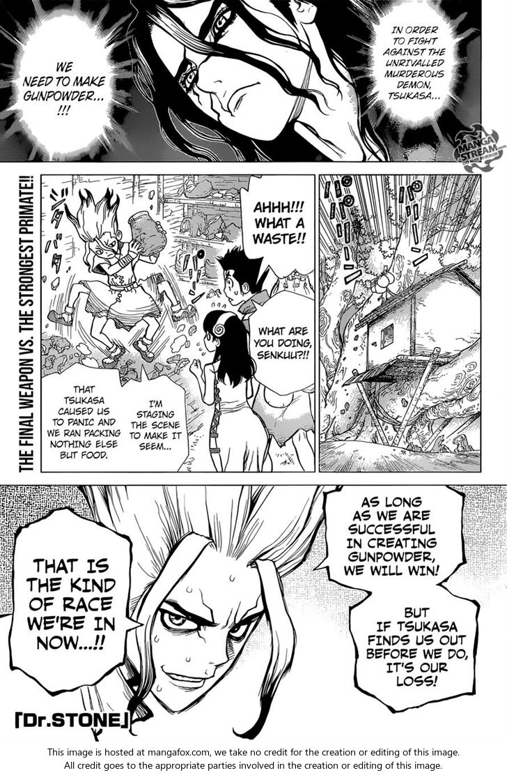 Read Dr. Stone Manga Online