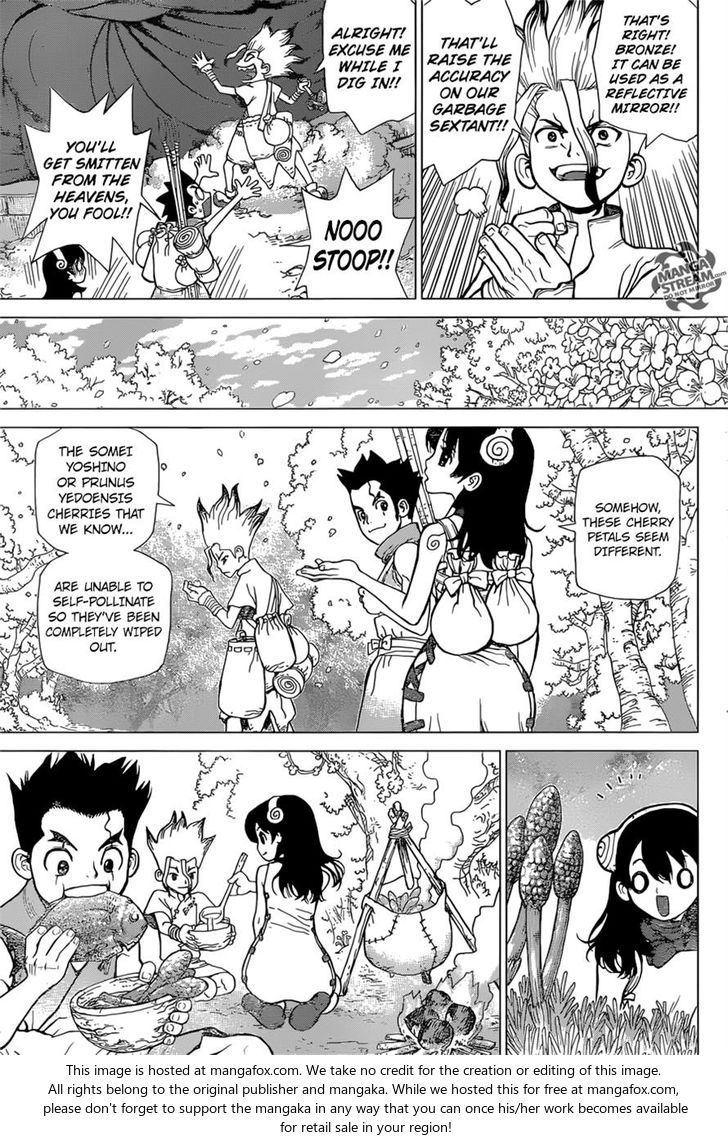 Read Dr. Stone Manga Online