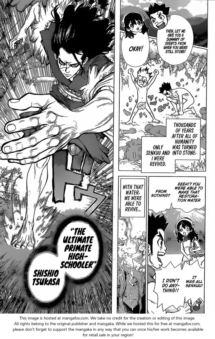 Read Dr. Stone Manga Online
