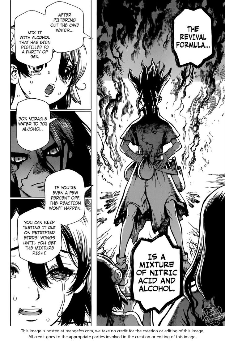 Read Dr. Stone Manga Online