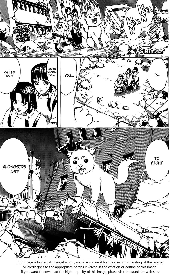 Read Gintama Manga Online