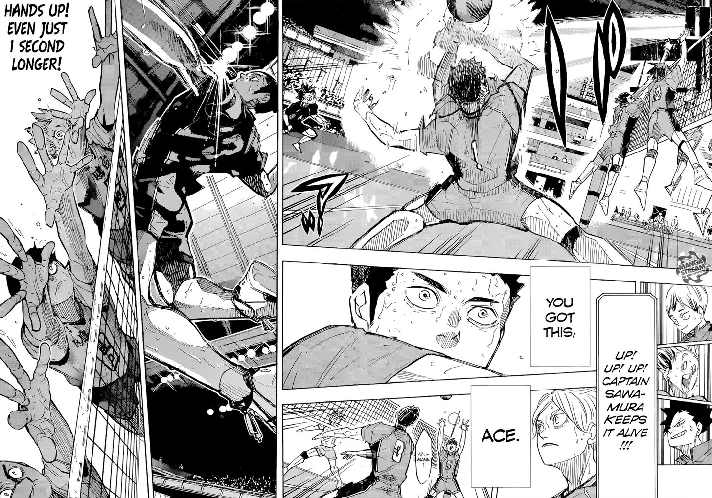 Read Haikyu!! Manga Online