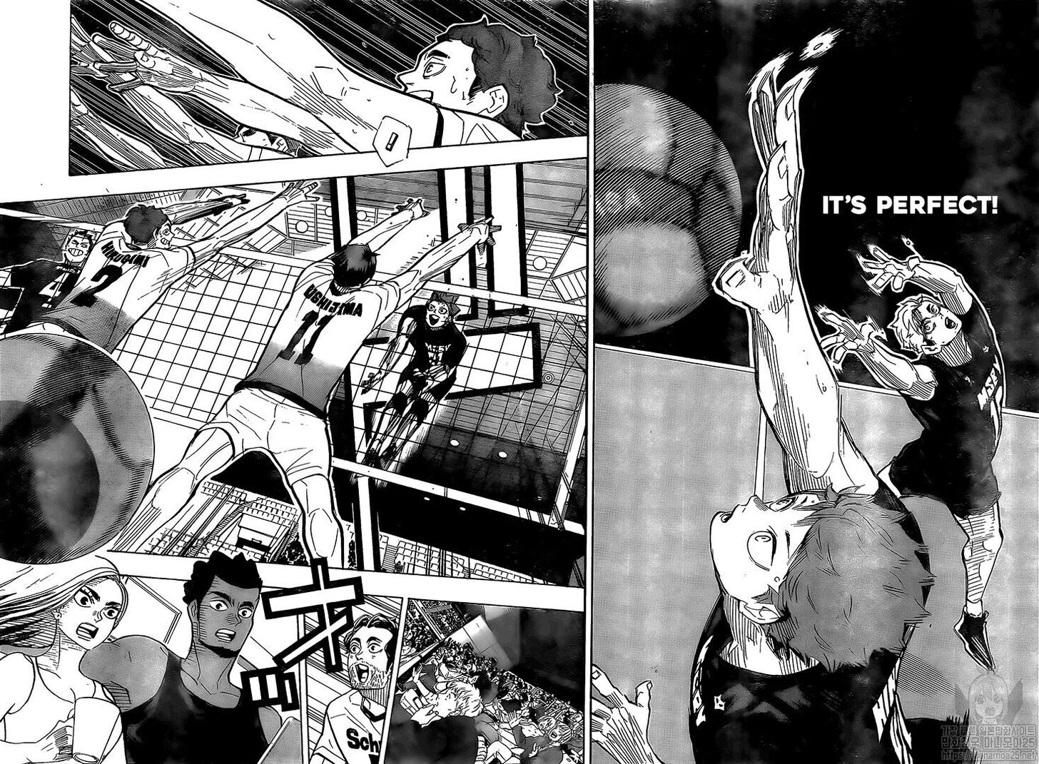 Read Haikyu!! Manga Online