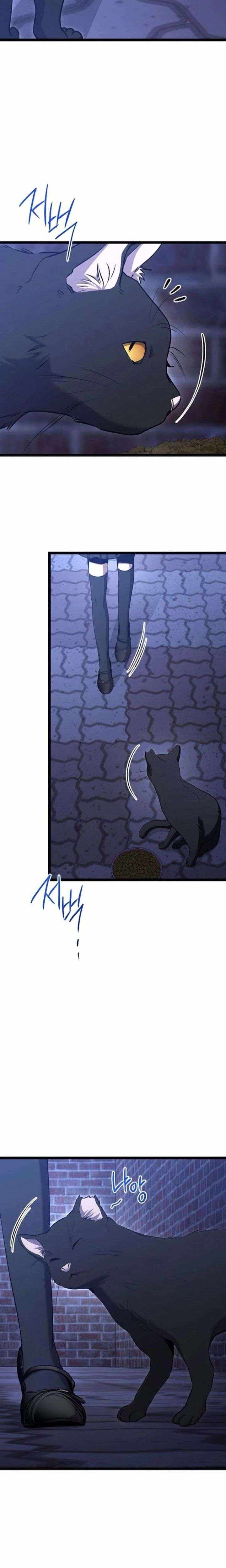 Read High School Queen Manga Online