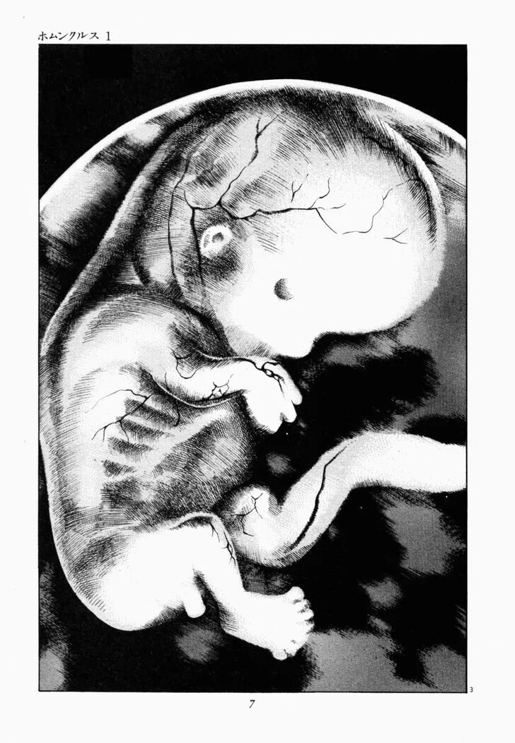 Read Homunculus Manga Online