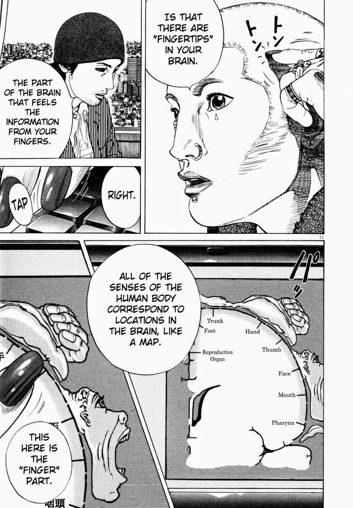 Read Homunculus Manga Online