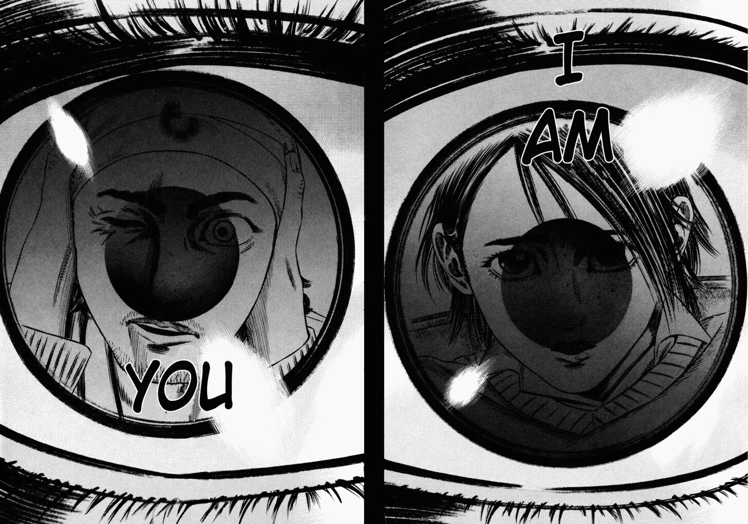 Read Homunculus Manga Online