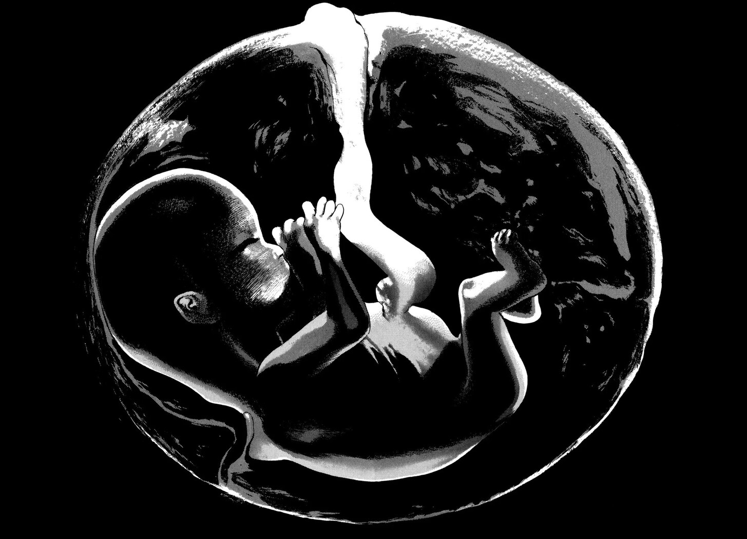 Read Homunculus Manga Online