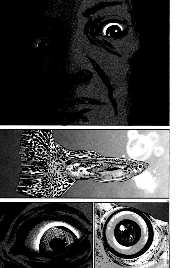 Read Homunculus Manga Online