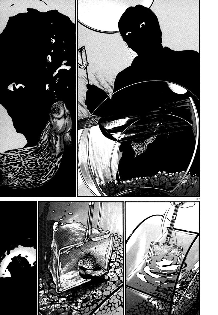 Read Homunculus Manga Online