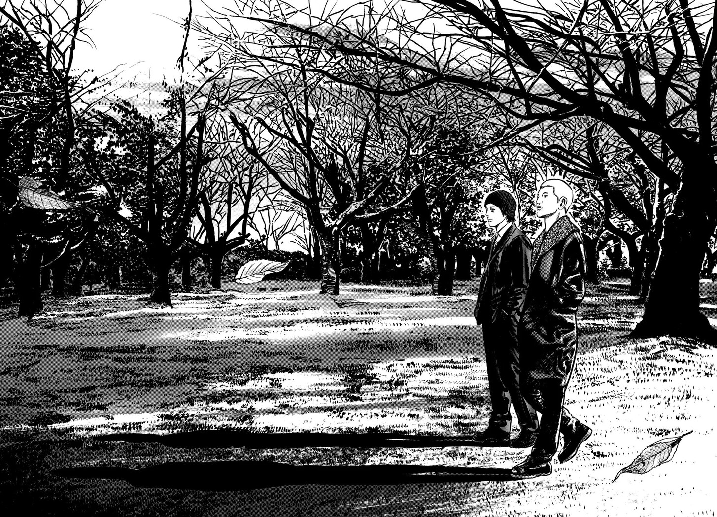 Read Homunculus Manga Online