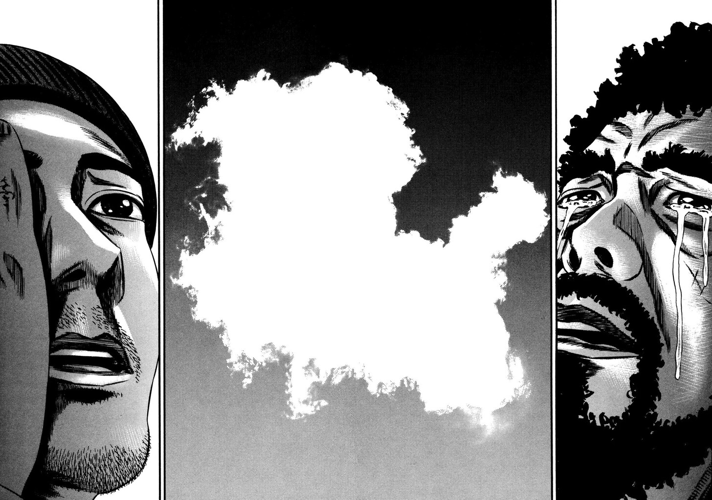 Read Homunculus Manga Online