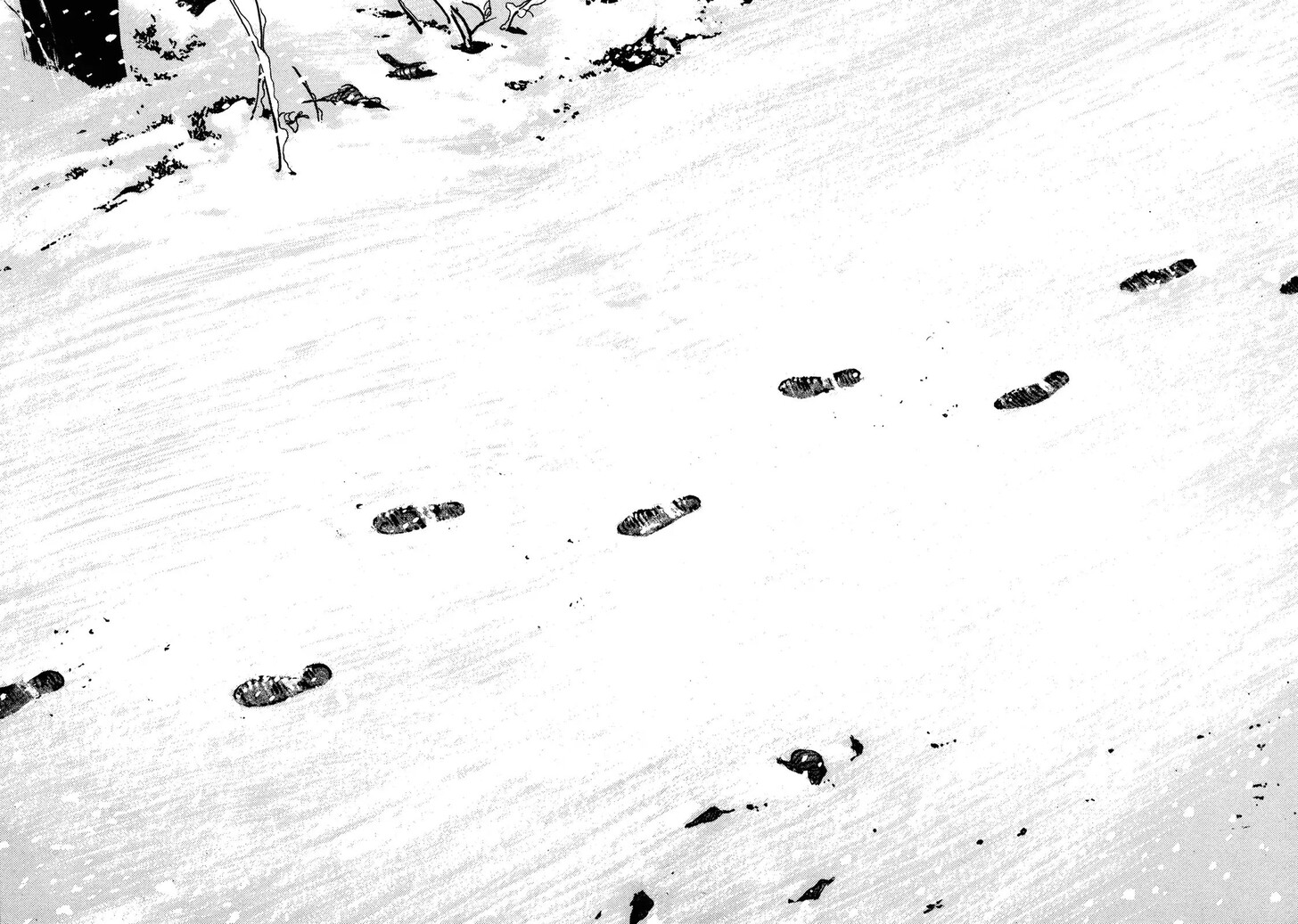 Read Homunculus Manga Online