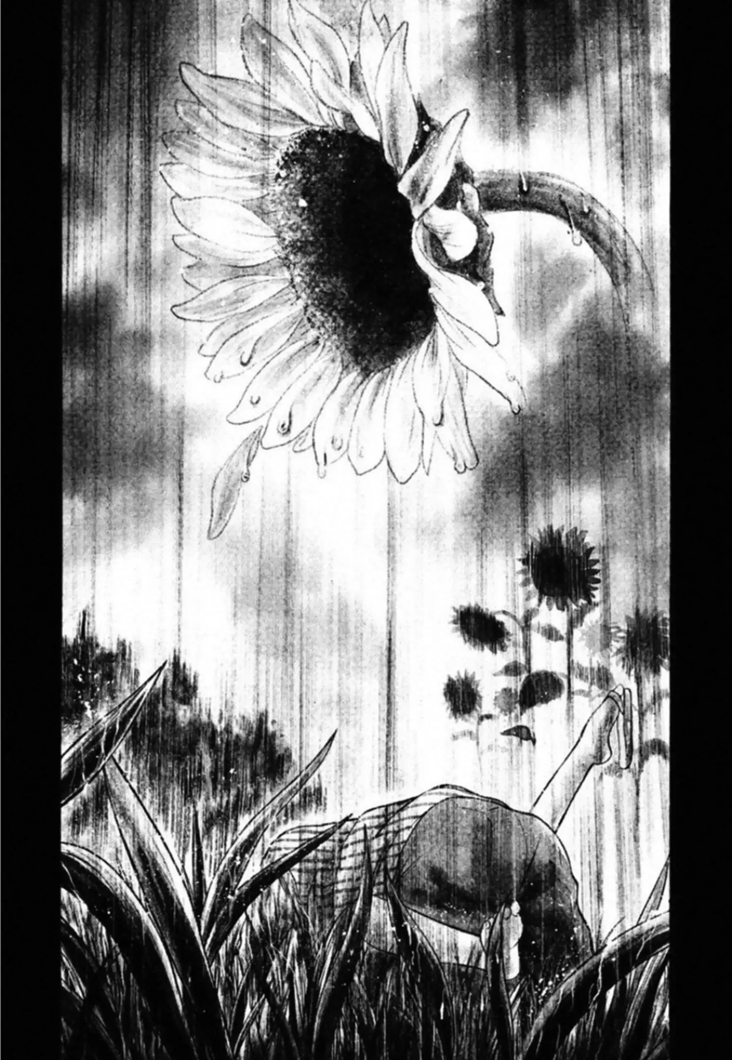 Read Kakeru Manga Online