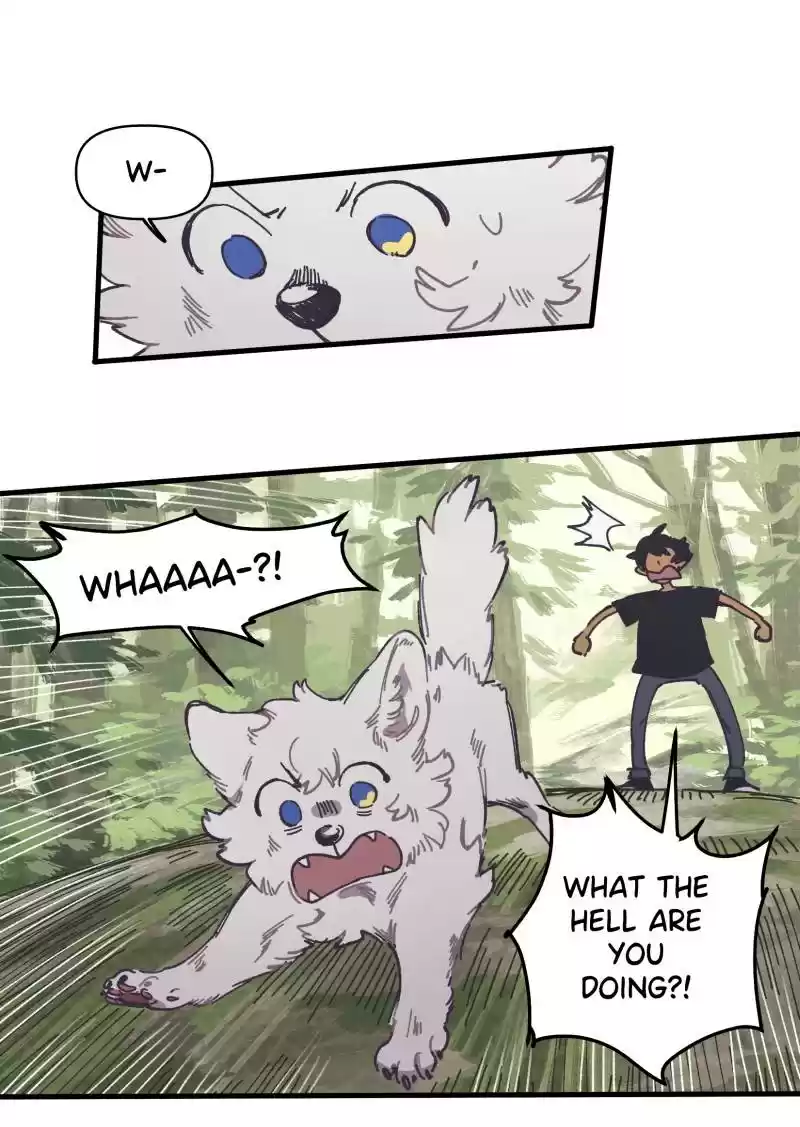 Read LUMINE Manga Online