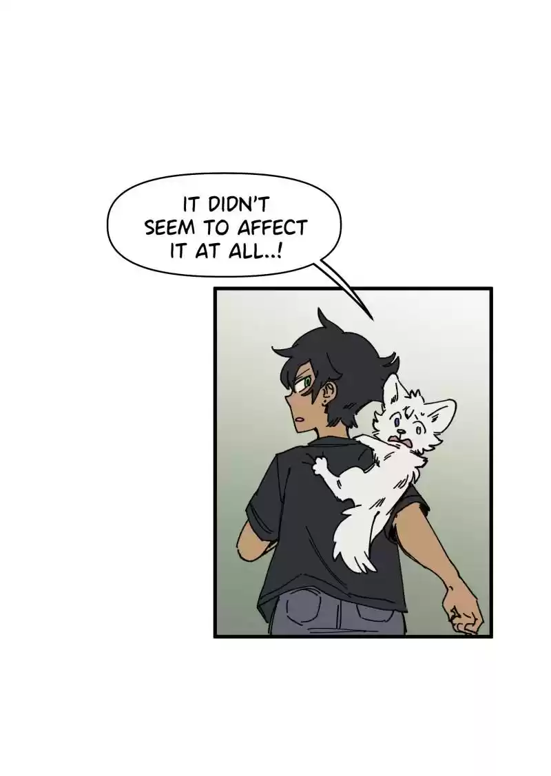 Read LUMINE Manga Online