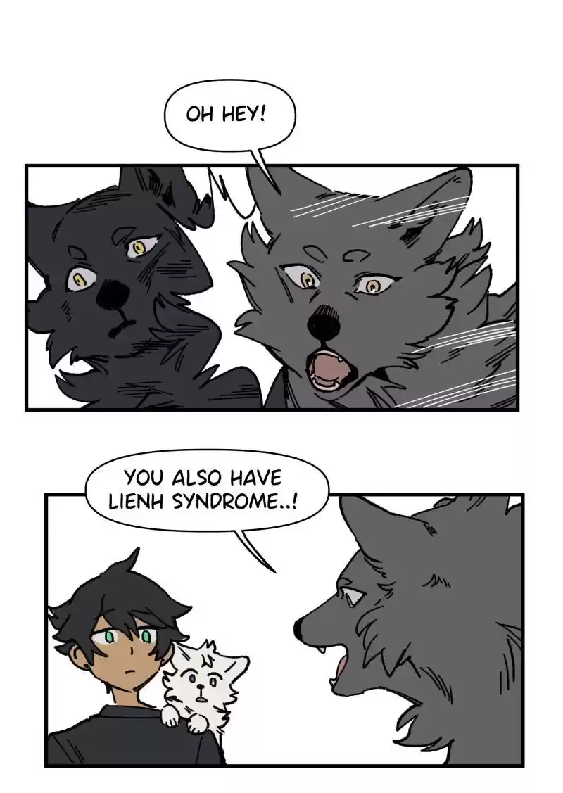 Read LUMINE Manga Online